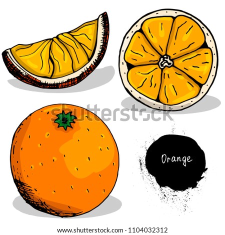 orange Fruits and berries. Growing vitamins. Right meals. Sketch. Hand drawing. Print, for T-shirts. For design.