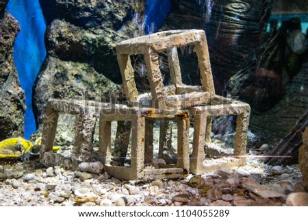 A decoration of coral which is in the aquarium for fishes where is the place for education, also for people who are interested in aquatic animals, to make it feel like living in the sea