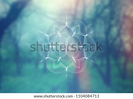 Vector template of banner, horizontal format; Spiritual sacred geometry; "Flower of life" and lotus on psychedelic natural forest photographic background; Yoga, meditation and relax. Royalty-Free Stock Photo #1104084713