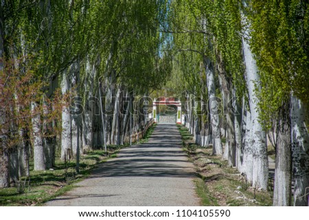 Gate of military sanatorium in Soviet style and green avenue in the park in the settlement of Tamga. The southern coast of the Issyk Kul lake in Kyrgyzstan.