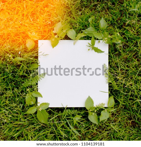 
White letter for text on the background of grass