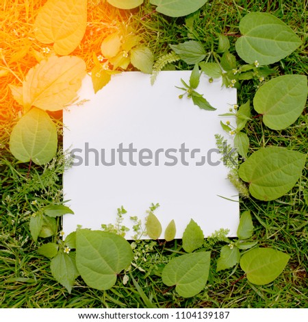 
White letter for text on the background of grass