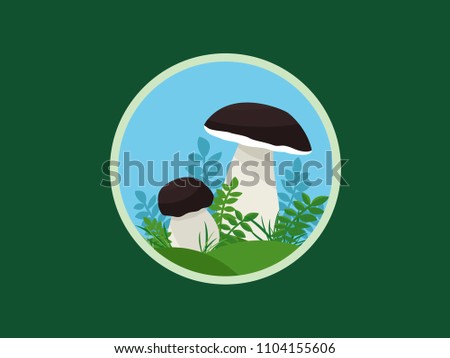 Vector illustration of edible mushroom isolated on green background. Raw porcini in forest. 