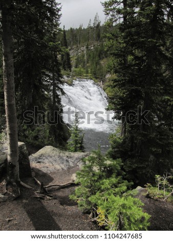 Cascading waterfall in forest
					