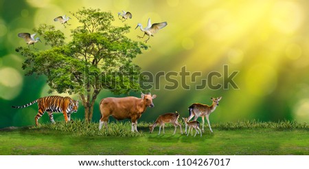 Concept Nature reserve conserve Wildlife reserve tiger Red cow Deer Global warming Food Loaf Ecology Human hands protecting the wild and wild animals tigers deer, trees in the hands green background Royalty-Free Stock Photo #1104267017