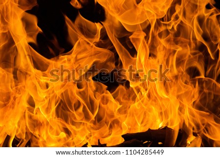 Close-up forest fire