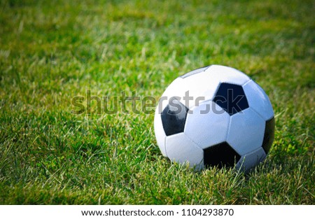 Soccer black and white ball over natural grass