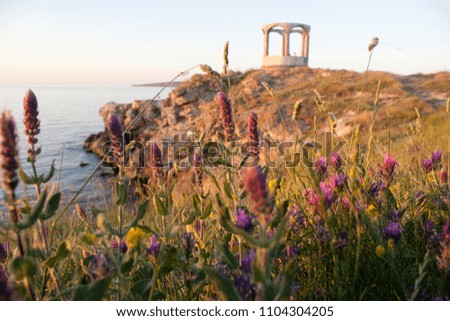 Summer sunset with close up of wild flowers and rotunda on background