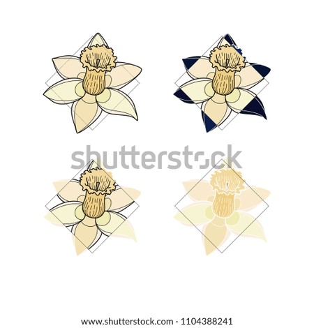 Handmade digital flower drawing
 with geometrical composition. Color set. Botanical collection. Icon set. Vector illustration in white background.