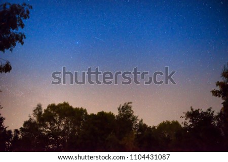 Sunset and night dark blue sky in forest with bright stars as space background