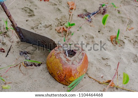 boat rudder with coconut on the beach