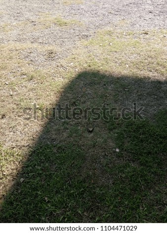 shadow on the field