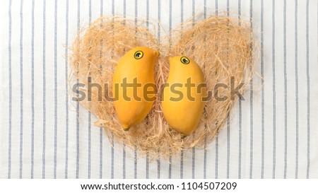 Two birds like mango on a heart shape straw and blue stripe cotton background