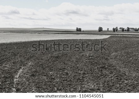 Plowed sloping hills prepared for planting crops in Spain in the autumn. Rural landscape with field after harvest. Black and white picture.