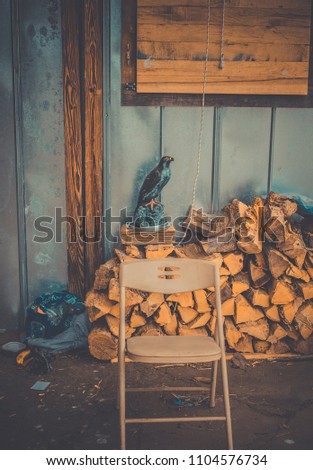outdoor chair with stack of wood behind it with fake bird on it 