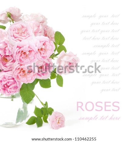 Tea roses bunch isolated on white background