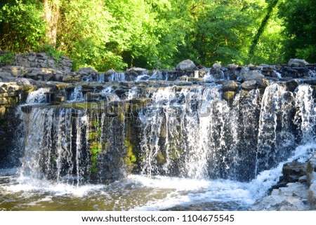 
Forest scenery with water cascade