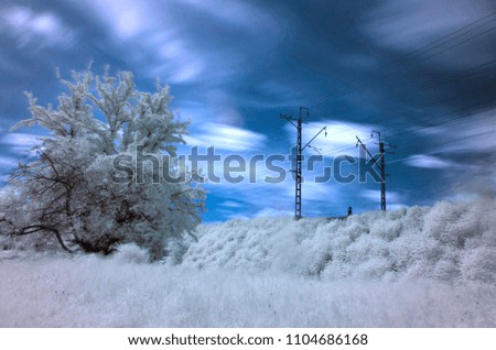 A lonely tree near the railway. Electric wires on the sky background. Infrared photography.