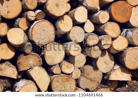 Background of firewood stacked in the woodpile. The pile of logs.