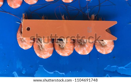 Shrimp color comparison in white shrimp