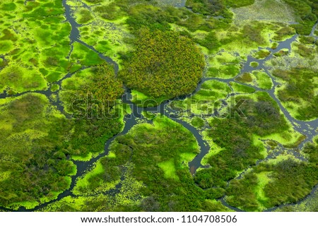 Aerial landscape in Okavango delta, Botswana. Lakes and rivers, view from airplane, UNESCO World Heritage site in South Africa. Green vegetation with water in rainy season. 
