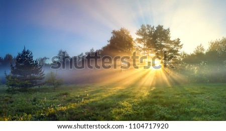 beautiful panorama landscape with sun and forest and meadow at sunrise. sun rays shine through trees. panoramic view Royalty-Free Stock Photo #1104717920