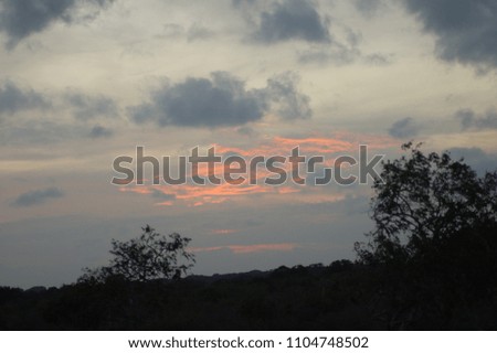 sunset in Yala National Park, Sri Lanka