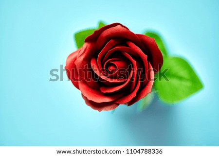 Minimalistic of an artificial red rose image photographed in studio isolated on blue background