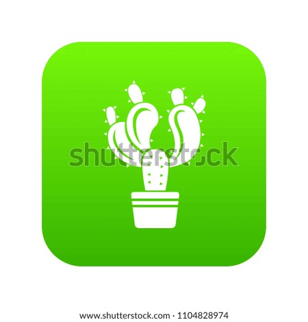 Cactus in pot icon green vector isolated on white background
