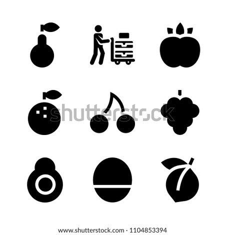 9 Fruits icons vector set. icon, section, stem and bright illustration for web.