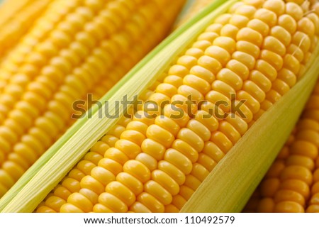 Grains of ripe corn Royalty-Free Stock Photo #110492579
