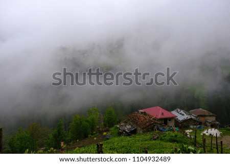
A village between mists and forests in trabzon