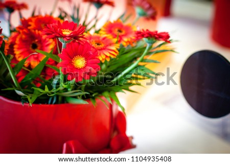 Beautiful red and yellow daisy flowers with green leaves blooming in decorated red vase. This flower plant is the best option to make your home lawn unique.