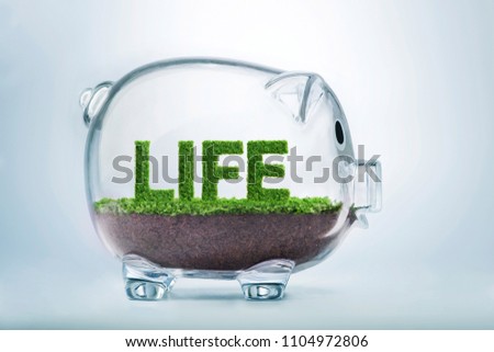 Grass growing in the shape of the word life, inside a transparent piggy bank.
