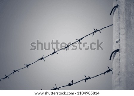 Black and white photo of rusty barbed wire fence with sky in the background. Selective focus.