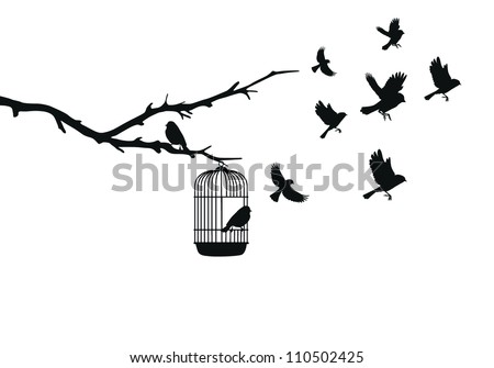 bird cages Royalty-Free Stock Photo #110502425