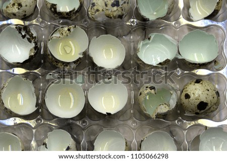 eggshell many broken eggshell supplements texture tone