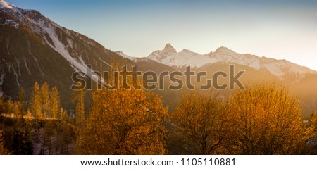Beautiful landscape, Swiss mountains in winter. Colorful and vivid trees. High resolution, 36 megapixels. Royalty-Free Stock Photo #1105110881