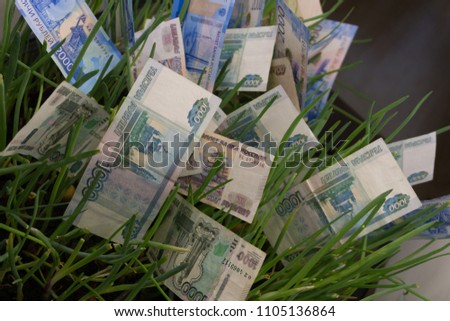 Russian ruble banknotes in green grass. Money growth. Financial concept