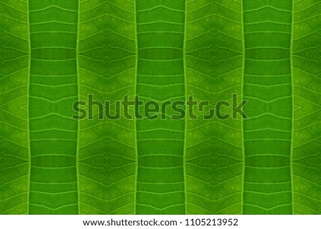 Seamless abstract texture: leaf veins, green background