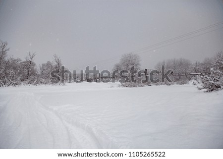 Snow-covered street in a country village
