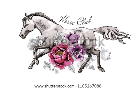 Vector illustration. Running Horse and peony, tulip flowers. Horse club - lettering quote. Poster, hand drawn style print.
