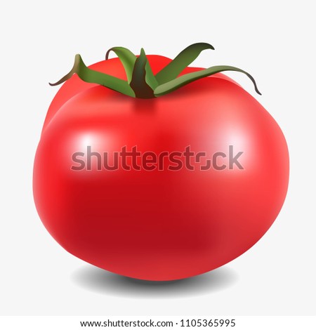 Vector illustration of a tomato. On on a white background.