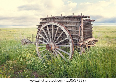 Ox cart in the field with sunset light
