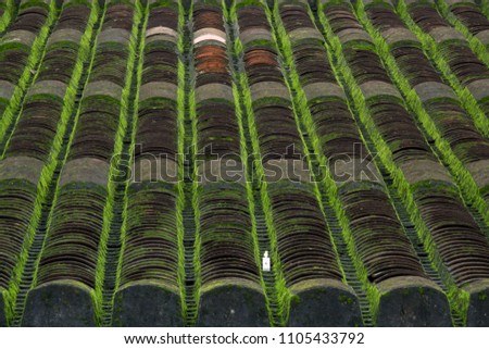 Green moss and algae on slate roof tiles. Royalty-free stock photo of green moss on roof tile overgrown with moss background in Hoi An old town