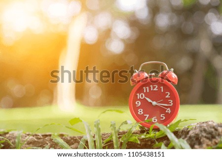 Red alarm clock on the grass. Copy space,