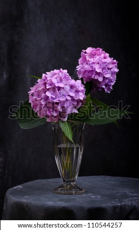 Still-Life with purple Hortensia flowers in glass vase Royalty-Free Stock Photo #110544257