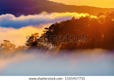Aerial view of dawn on the mountain and Pine forest in fog, Trai Mat, Da Lat, Vietnam.