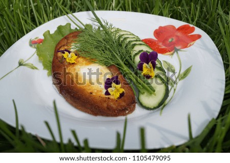 Fry egg into a piece of bread with green onion, dill, cucumber and 3 yellow and purple flowers on white plate with red flower on the grass. Pick nick. Breakfast.
Good morning.
