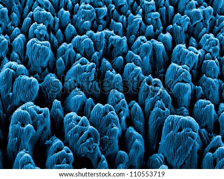 rippled microstructures on silicon Royalty-Free Stock Photo #110553719